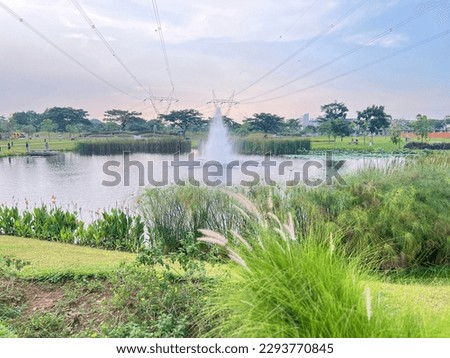 Fountain in the middle of lake surround by green plant