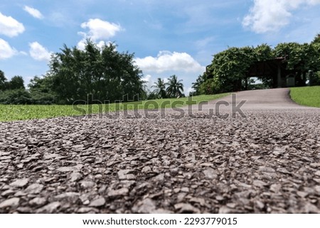 asphalt texture, road in green park, shallow depth of field, worm eye view
