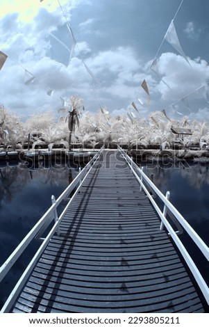 infrared photography wooden bridge, outdoor