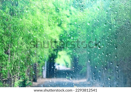 rain asia green, background downpour rainy season typhoon Royalty-Free Stock Photo #2293812541