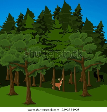 Deer in the middle of the forest
