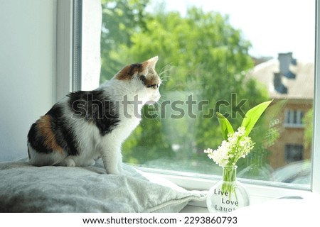 A cat with a fragrant bouquet of lilies of the valley. A cat with spring flowers.
