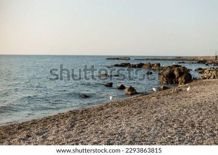 Rocks  stones on the beach at dawn on the black sea