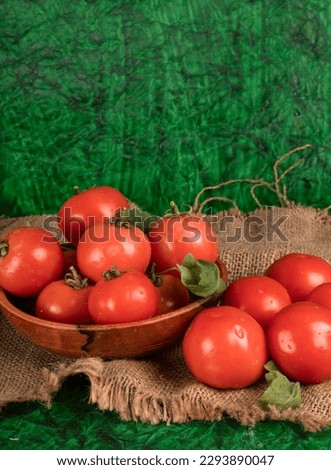 Fresh red tomatoes with water drops on a dark background. Harvesting tomatoes. Top view