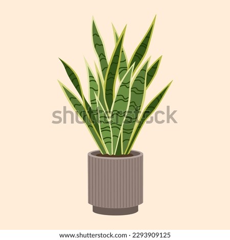 Green sansevieria in flowerpot. Trendy houseplant, for interior decoration. Hand drawn vector illustration isolated on light background. Modern flat cartoon style.