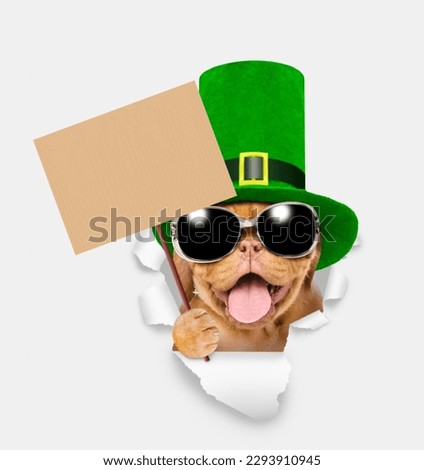Saint Patrick's Day concept. Happy mastiff puppy wearing sunglasses and green leprechauns top hat holds  empty placard and looks through the hole in white paper