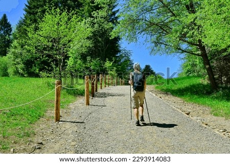 Back view of a female tourist walking along a hiking trail in the Pieniny Mountains on a bright sunny day at springtime.