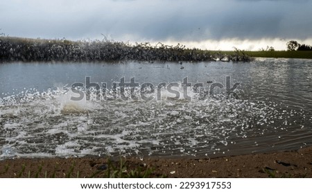 violent hailstorm with water on the ground on street photo. High quality photo