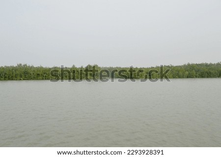 Largest mangrove forest Sundarban, natural beauty of Bangladesh, green beauty