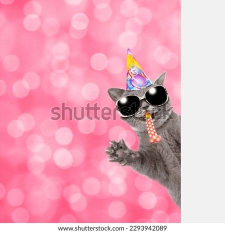 Happy cat wearing sunglasses and  birthday cap  blows in party horn and looks from  behind empty white banner.  Shade trendy color of the year 2023 - Viva Magenta background. Empty space for text