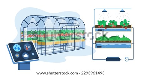 Flat greenhouse with smart innovation technology for growing or automation watering plants. Agricultural cultivation, hydroponic gardening system with control digital device. Farm industry concept. Royalty-Free Stock Photo #2293961493