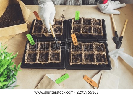 Woman's hands plant seeds at home. Home gardening, hobbies and agrarian life during lockdown. The concept of ecological and plant economy. Earth Day. Royalty-Free Stock Photo #2293966169