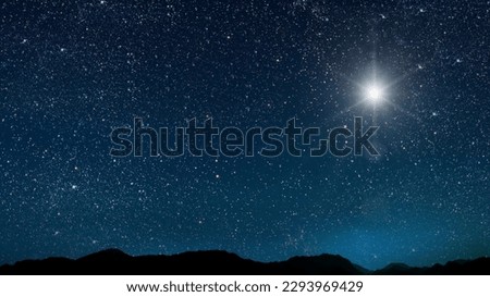 night sky in the forest with stars and moon