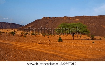 West Africa. Mauritania. Covered by the sands of the Sahara Desert, the valley of a dried-up river near the famous Terzhit oasis. Royalty-Free Stock Photo #2293970121