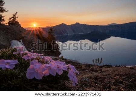 Bare Rim of Crater Lake with Phlox Blossoms at Sunset along the Garfield Peak Trail Royalty-Free Stock Photo #2293971481