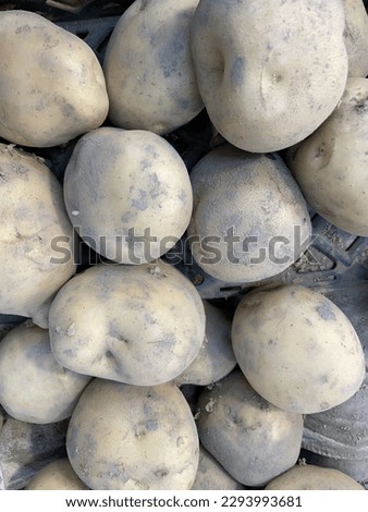 pictures of fresh vegetables and fruits