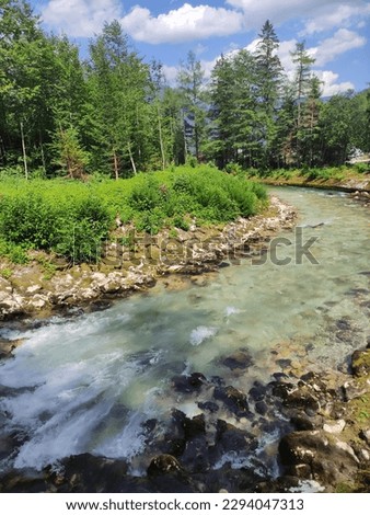 A view on the Waldbach river, Austria. Cascades, stones on the shore. Mountain river stream. Green grass, coastline, trees. Blue sky, summer day in the Alps. Royalty-Free Stock Photo #2294047313