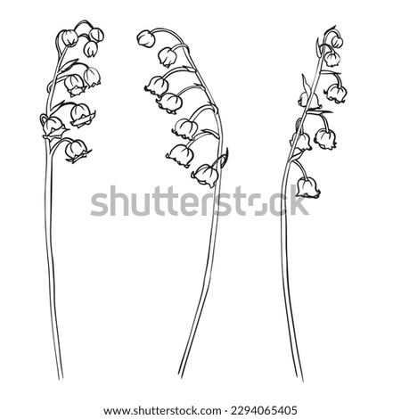 Collection set of lily of the valley flower and leaves drawing illustration. for pattern, logo, template, banner, posters, invitation and greeting card design. Vector