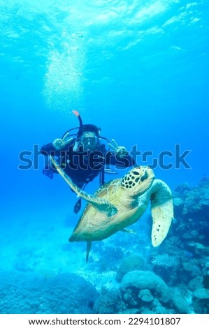 Turtle with a background Diver posing at Great Barrier Reef
