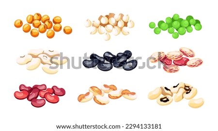 Set of colored beans in cartoon style. Vector illustration of various food beans: lentils, chickpeas, green peas, red and black , black-eyed, pinto beans isolated on white background. Royalty-Free Stock Photo #2294133181