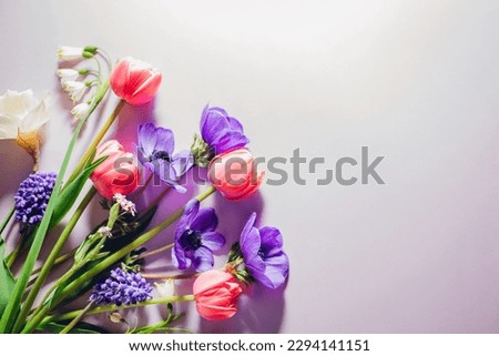 Pink purple blue and white spring flowers background. Tulips, anemones, daffodils blooms. Mother's day. Top view. Space Royalty-Free Stock Photo #2294141151