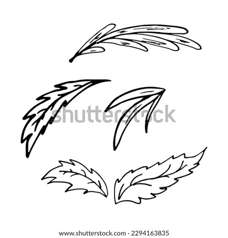 leaves in line style. Isolated hand drawing greenery vector illustration. Doodle simple outline. Leaf for icon, menu, cover, print, poster, cards, web element, social media, card for children.