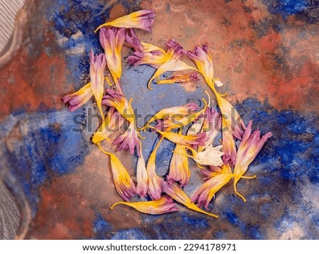 Flowers on a piece of marble. Dry petals of purple and yellow on a blue background,  on a blue background wiev cCose