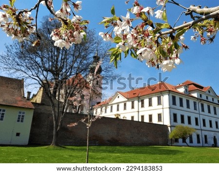 Brevnov Monastery (Brevnovsky Klaster in Czech) in Prague, Czechia with blooming tree flowers in foreground on beautiful sunny spring day. The monastery is surrounded by gardens and orchards. 