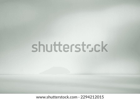 Pastel light green with sunbeams and shadows background for presentations