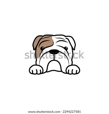 Cute bulldog fawn and white color cartoon, vector illustration