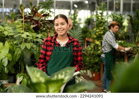 Positive friendly young female floriculturist working in gardening store, standing among greenery of ornamental potted houseplants with watering can in hands.. Royalty-Free Stock Photo #2294241091