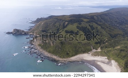 Pacific ocean coast with hills with trees