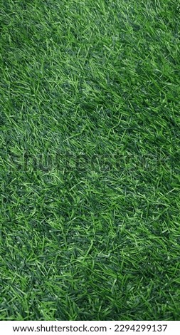 green natural sintetic grass picture