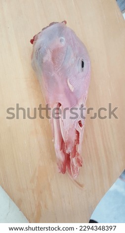 The duck head on a cutting board picture