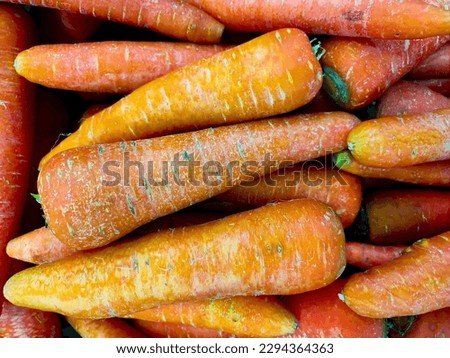 Photo of Fresh Organic Carrot From Market. Texture Background of Bunch of Carrots. Images of Vegetable Carrot