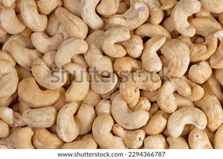 Cashews in a close up
