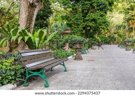 Environment at public outdoor park. Walkway with trees. - Stock Photo