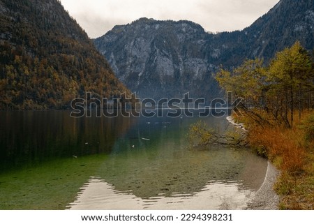 Autumn forest scenery with road of fall leaves and warm light illumining the gold foliage in Berchtesgaden. Vivid October in colorful forest with reflection of autumn trees.
