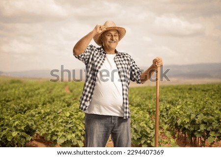 Mature farmer on a grapevine field greeting with his straw hat Royalty-Free Stock Photo #2294407369