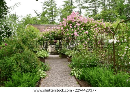Path leading to the house through a blooming garden with roses. Royalty-Free Stock Photo #2294429377