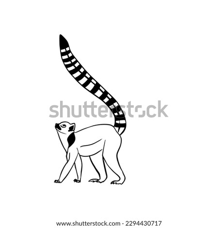 Vector sketch hand drawn silhouette of a lemur, line art with black lines on a white background