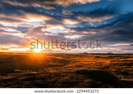 Fantastic vivid nature scenery of Iceland. Amazing lavas fields with moss under bright sunlight. Wonderful Icelandic Landscape with colorful sky during sunset. Picture of wild area