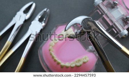 Dental instruments tooth forceps extraction artificial teeth dental study model Royalty-Free Stock Photo #2294457593