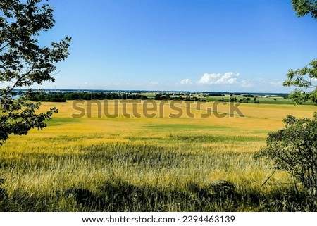 landscape with yellow field and blue sky, beautiful photo digital picture