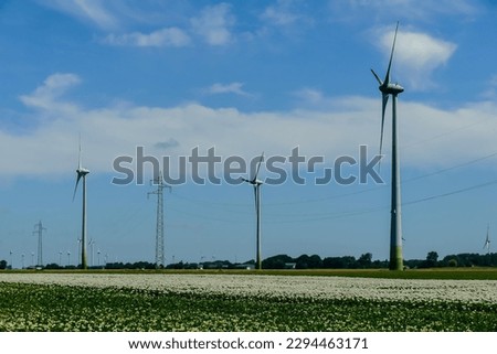 wind turbines in the field, beautiful photo digital picture