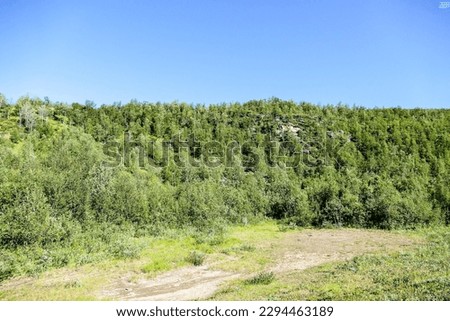 landscape with trees and blue sky, beautiful photo digital picture