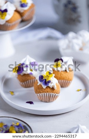 3 Chocolates Cupcakes in a plate with beautiful background