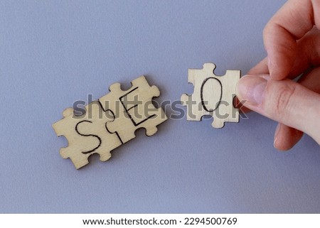 The acronym SEO, which stands for Search Engine Optimization. The letters written on the puzzles.