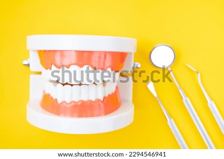 Dentures model and instrument dental on yellow background.