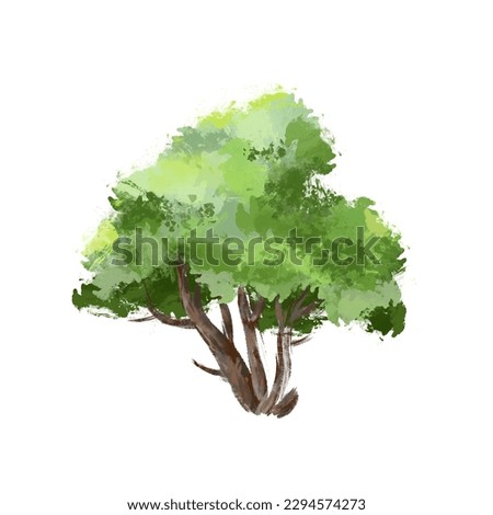 Cute green tree jpeg clipart on a white background, Summer plant digital file greenery watercolor illustration  Environmental element watercolor illustration
